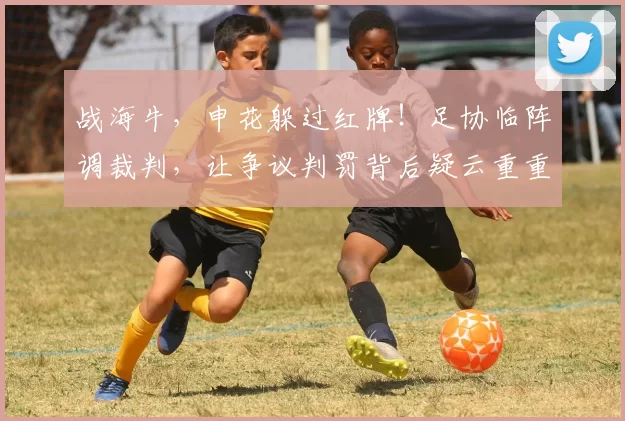 战海牛，申花躲过红牌！足协临阵调裁判，让争议判罚背后疑云重重_比赛_动作_黄翼
