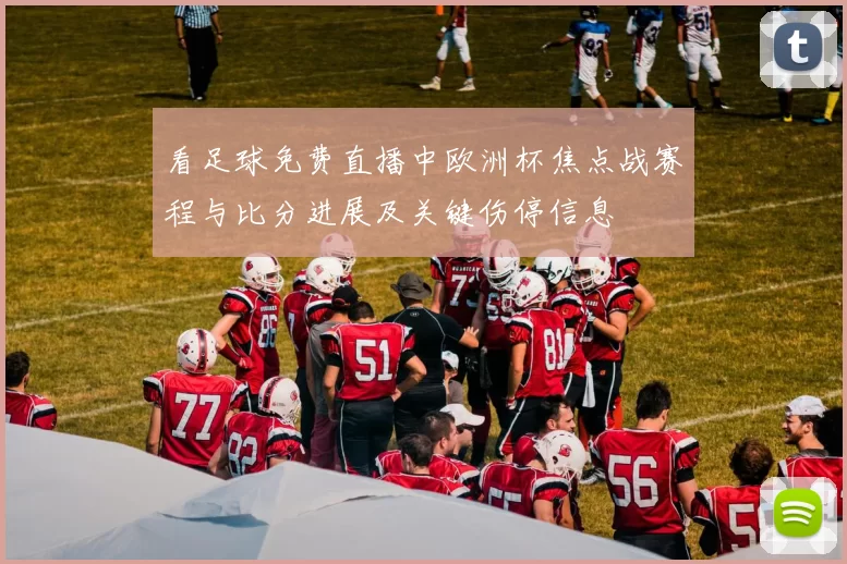 看足球免费直播中欧洲杯焦点战赛程与比分进展及关键伤停信息