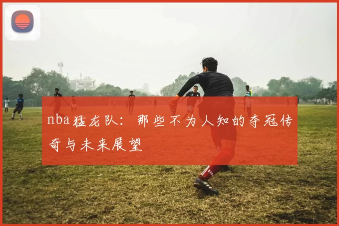 nba猛龙队:那些不为人知的夺冠传奇与未来展望