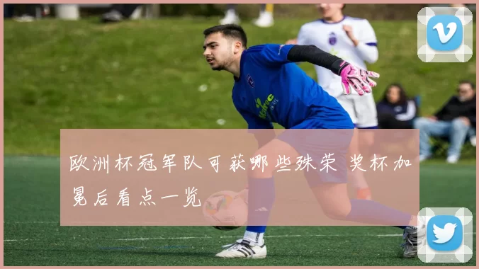 欧洲杯冠军队可获哪些殊荣 奖杯加冕后看点一览