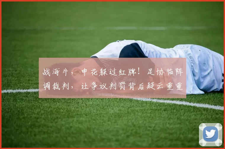 战海牛，申花躲过红牌！足协临阵调裁判，让争议判罚背后疑云重重_比赛_动作_黄翼