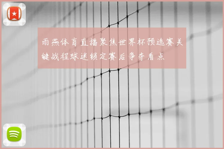 雨燕体育直播聚焦世界杯预选赛关键战程球迷锁定赛后争夺看点