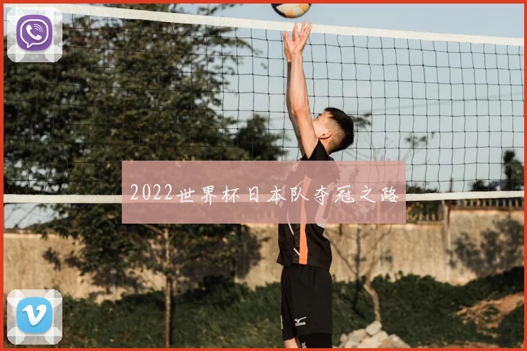 2022世界杯日本队夺冠之路