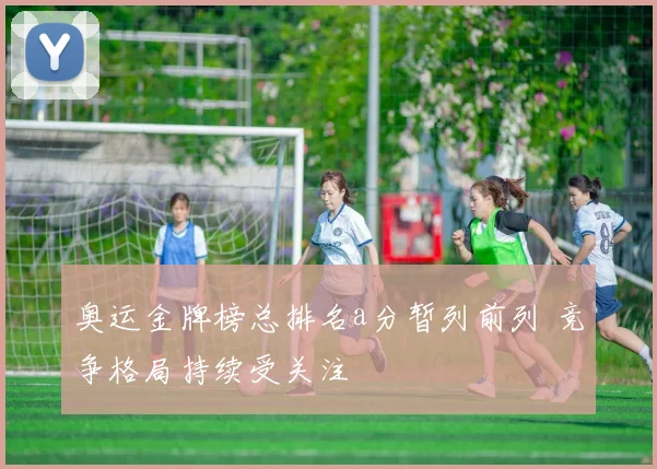 奥运金牌榜总排名a分暂列前列 竞争格局持续受关注